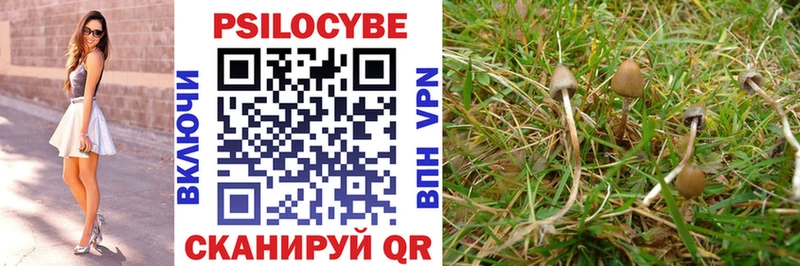 Псилоцибиновые грибы Cubensis купить Снежинск
